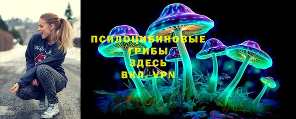 марки lsd Бородино